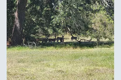 375 Horse Shoe Trail, Angleton, TX 77515 - Photo 23