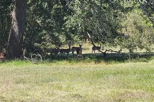 375 Horse Shoe Trail, Angleton, TX 77515 - Photo 23