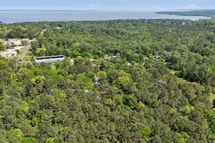 10 Boat Launch Rd, Point Blank, TX 77364 - Photo 27