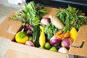 230 Mandarin Mist St, Richmond, TX 77406 - Photo 11