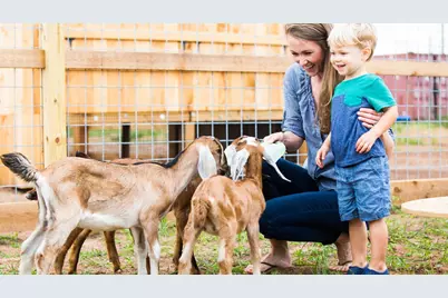 230 Mandarin Mist Street, Richmond, TX 77406 - Photo 13