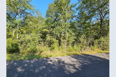 Tbd Woodfarm Road, Huntsville, TX 77320 - Photo 1