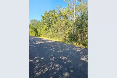 Tbd Woodfarm Road, Huntsville, TX 77320 - Photo 3