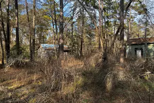 18579 Solomon, Cleveland, TX 77328 - Photo 5