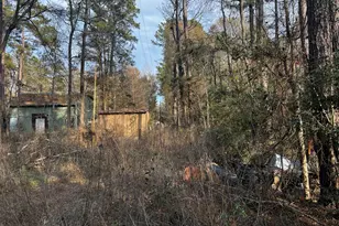 18579 Solomon, Cleveland, TX 77328 - Photo 3