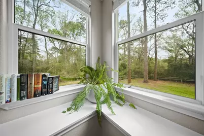 12175 Mustang Avenue, Willis, TX 77378 - Photo 19