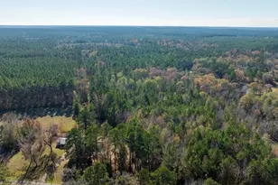 23684 Fm 227 E, Kennard, TX 75847 - Photo 17