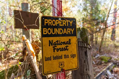 23684 Fm 227 E, Kennard, TX 75847 - Photo 17