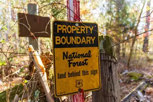 23684 Fm 227 E, Kennard, TX 75847 - Photo 17