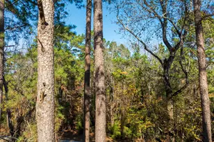 23684 Fm 227 E, Kennard, TX 75847 - Photo 19