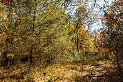 23684 Fm 227 E, Kennard, TX 75847 - Photo 15