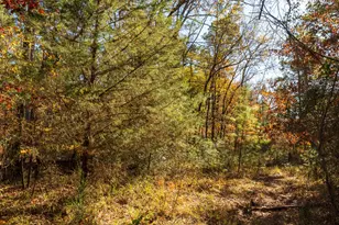 23684 Fm 227 E, Kennard, TX 75847 - Photo 15