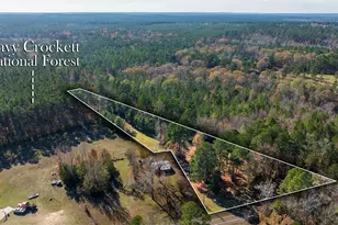 23684 Fm 227 E, Kennard, TX 75847 - Photo 3