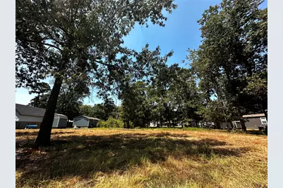 170 Tobago Lane, Point Blank, TX 77364 - Photo 5