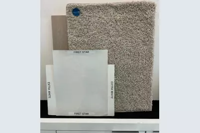 10934 Skyway Lane, Missouri City, TX 77459 - Photo 3