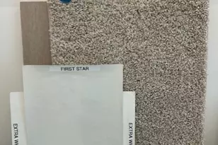 10934 Skyway Ln, Missouri City, TX 77459 - Photo 3