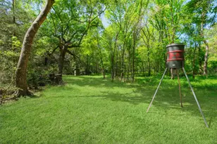 24718 Squirrel Rd, New Ulm, TX 78950 - Photo 1