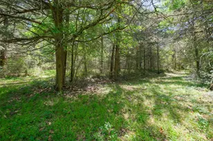 24718 Squirrel Rd, New Ulm, TX 78950 - Photo 1