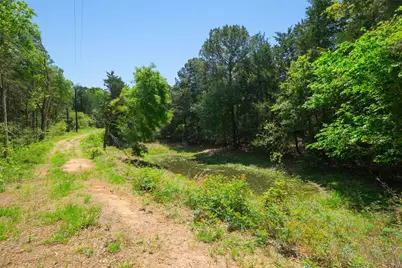 24718 Squirrel Road, New Ulm, TX 78950 - Photo 7
