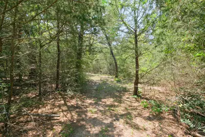 24718 Squirrel Road, New Ulm, TX 78950 - Photo 9