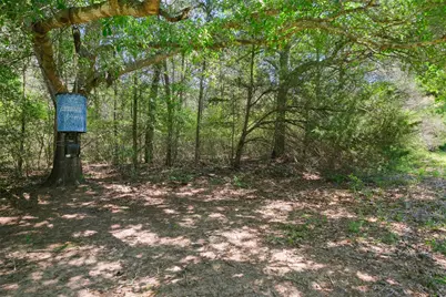 24718 Squirrel Road, New Ulm, TX 78950 - Photo 9