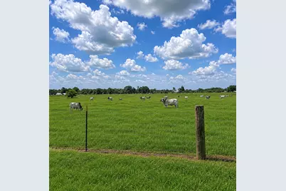 Tbd Jozwiak Lane, Hempstead, TX 77445 - Photo 3