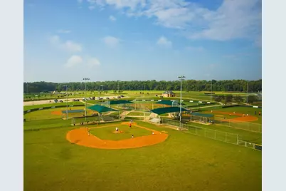 1535 Warm Springs Drive, Missouri City, TX 77459 - Photo 7