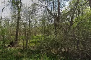 831 Drew's Landing Rd, Goodrich, TX 77335 - Photo 1