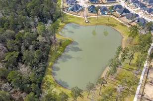 15208 Tree Swallow Ct, Magnolia, TX 77354 - Photo 45