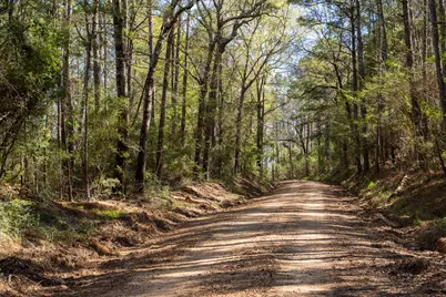 00 Hubert Cemetery Rd, Livingston, TX 77351 - Photo 11