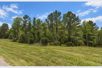 16611 Retreat Road, Willis, TX 77378 - Photo 5