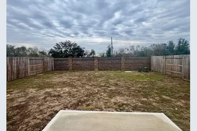 2518 Green Jasper Drive, Iowa Colony, TX 77583 - Photo 17