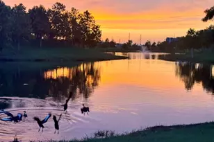 17207 Kilmahew Pl, Richmond, TX 77407 - Photo 37