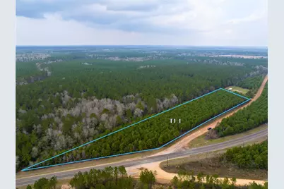 2 Menard Chapel Road, Livingston, TX 77351 - Photo 5