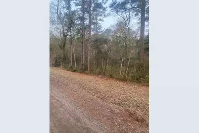 Tbd Hill Creek Drive, Coldspring, TX 77331 - Photo 1
