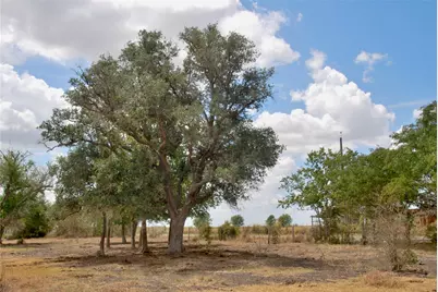Tract 4 County Road 366, Shiner, TX 77984 - Photo 19
