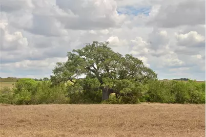 Tract 4 County Road 366, Shiner, TX 77984 - Photo 3