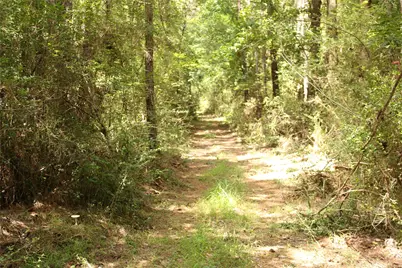 Tbd 10th Street, Shepherd, TX 77371 - Photo 3