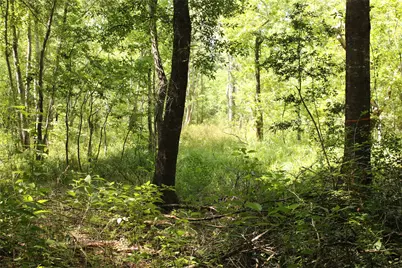 Tbd 10th Street, Shepherd, TX 77371 - Photo 5