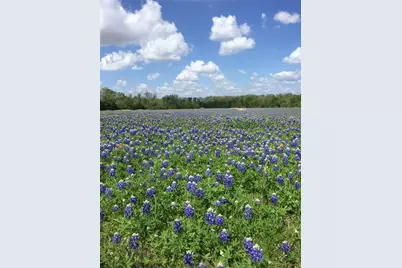 11755 Puddin Ln, Washington, TX 77880 - Photo 17