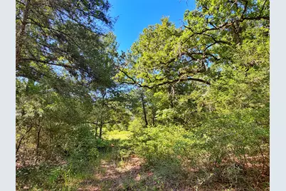 Tbd I-45 West Feeder Rd, Centerville, TX 75833 - Photo 11