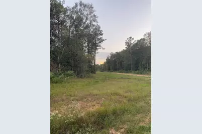 983 County Road #4350, Woodville, TX 75979 - Photo 3