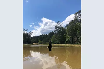 983 County Road #4350, Woodville, TX 75979 - Photo 7