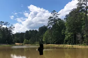 983 County Rd, Woodville, TX 75979 - Photo 7