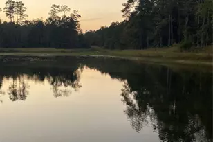 983 County Rd, Woodville, TX 75979 - Photo 17