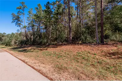 Tbd Grassland Court, Huntsville, TX 77340 - Photo 13