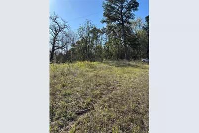 373 Johnson Road, Huntsville, TX 77320 - Photo 11