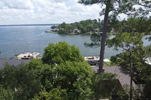 144 Lake View Cir, Montgomery, TX 77356 - Photo 31