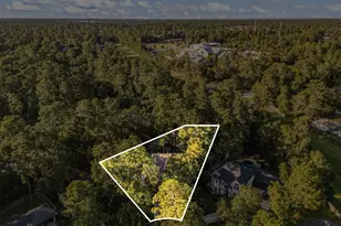 205 Purple Slate Pl, The Woodlands, TX 77381 - Photo 3