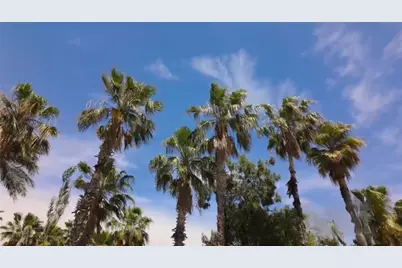 13719 Mutiny Lane, Galveston, TX 77554 - Photo 41